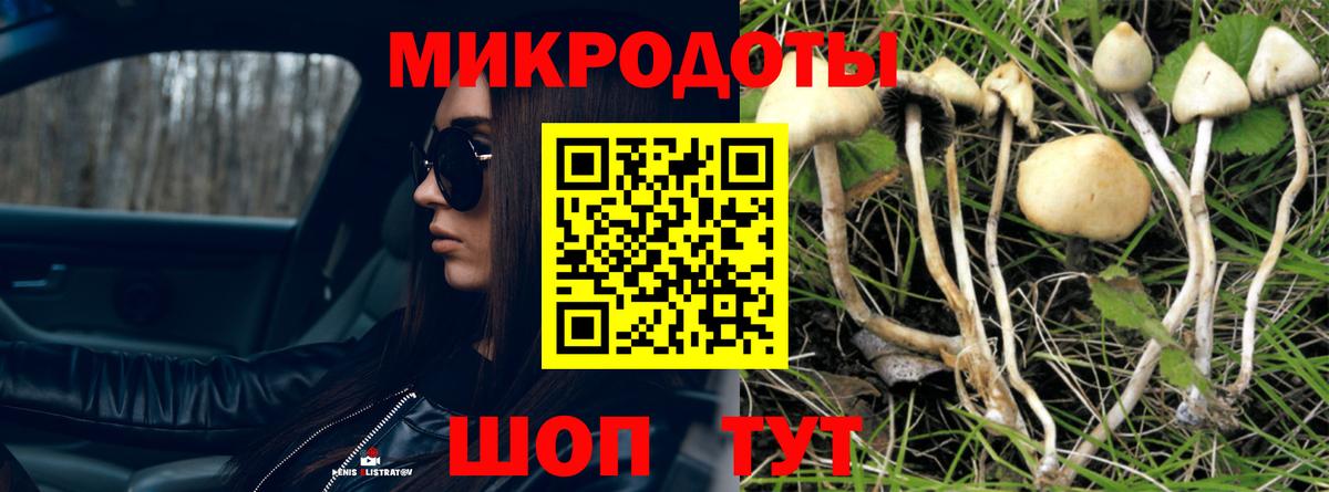 Конаково  Псилоцибиновые грибы Cubensis  Вход с VPN  Галлюциногенные грибы Cubensis 